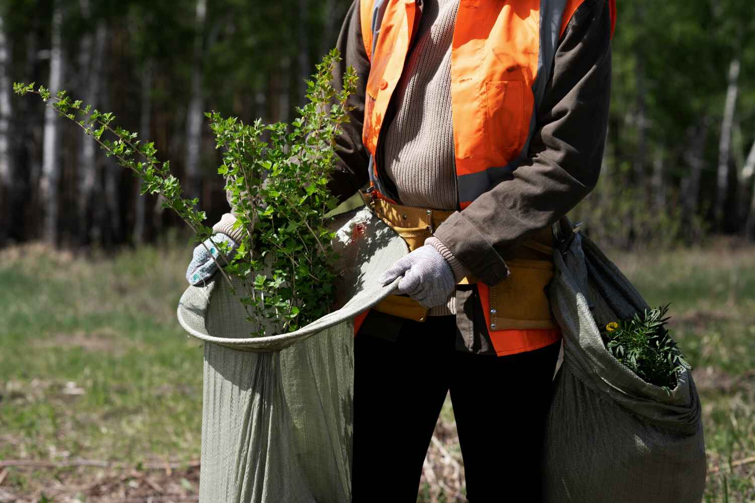 Best Emergency Tree Service  in Greenacres, FL